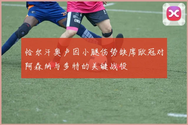 恰尔汗奥卢因小腿伤势缺席欧冠对阿森纳与多特的关键战役