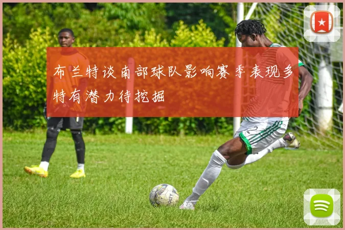 布兰特谈南部球队影响赛季表现多特有潜力待挖掘