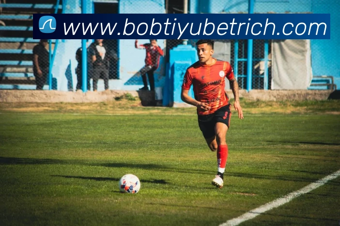 BOB体育平台生态图